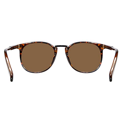 Piranha Fleming Women's Polarized Sunglasses with Round Demi Frames and Brown Lens3