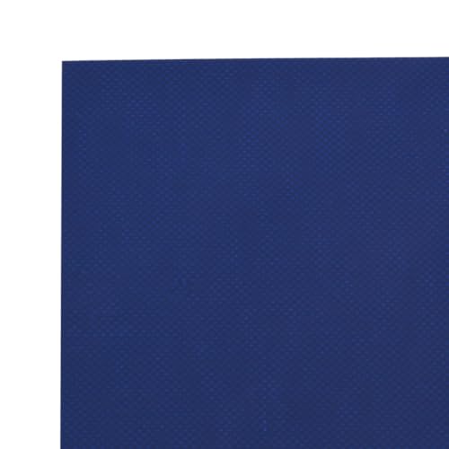 vidaXL Abdeckplane, Plane Abdeckung Reißfest Wasserfest, Schutzplane UV-Beständig Schimmelbeständig, Schutzhülle Zeltplane, Blau 3x4m 650 g/m²