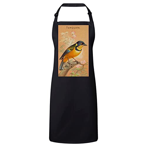 Tablier cuisine noir oiseau tangara jaune et bleu modèle premium Torquata