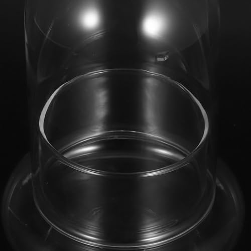 Botellas de vidrio de borosilicato COLLBATH para terrarios y micropaisajes con agujero de 8mm 4