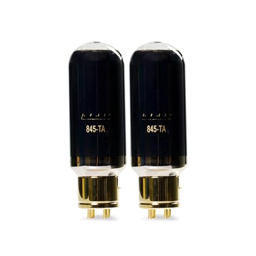 FLEYYXBN 845-TA 845TA Vacuum Tube Audio Tube Amplifier Kit DIY(2 pcs)