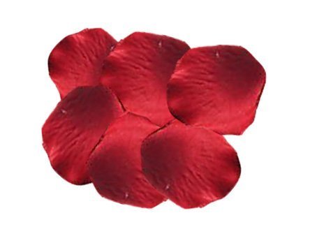 1000 petali di rosa in seta per festa di nozze