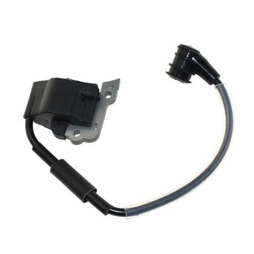 Bobina de encendido para solucionar problemas de arranque en P230S 4
