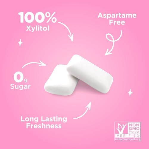 Image of PUR Gum, Bubblegum, Xylitol Gum, No Artificial Flavor, 108 Count (12x9)