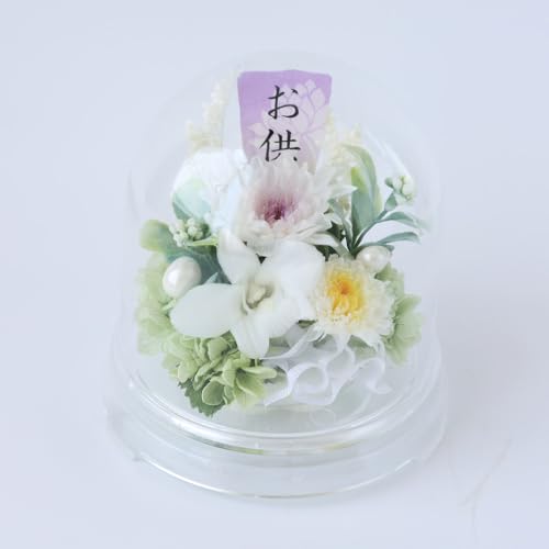 �ԗR ������ ���� �v���U�[�u�h�t�����[ �z�� (�z���C�gver/�N���A�h�[��) �f���t�@�� ���~ ���~ ���� �A�����W�����g ���d�p (�R���p�N�g/�����s�v) ������� ���{