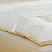 Pacific Coast Bed Protector Size: King