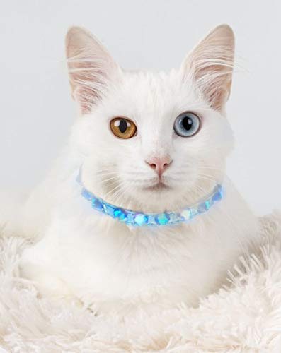 swarovski cat collar