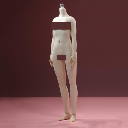 Figurine d'action féminine 1/6 JOQ-19B-WS : le mannequin articulé parfait pour la customisation