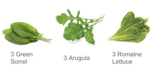 Click and Grow Smart Garden Salad Mix, 9-Pack