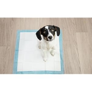   Generic-AAARS-Puppy-Training-Pads-Cats-Puppy-Essentials-6-Layers-Leak-Proof-Pee-Pads-for-Dogs-Cats-Essential-for-Travel-crates-or-Auto-Back-Seat-Small-White-and-Blue