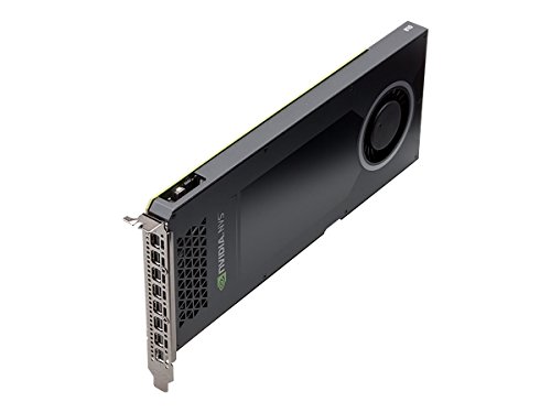 PNY Carte vidéo VCNVS810DP-PB