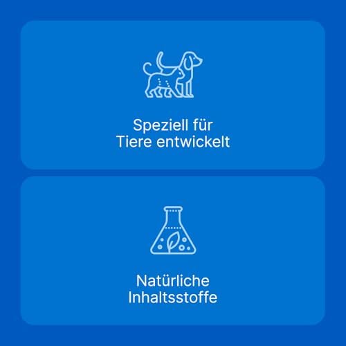 Traumeel Gel ad us. Vet. 50g | Natürliche Tierarzneimittel für Hunde | Made in Germany  
Traumeel Gel ad us. Vet. 50g | 