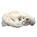 JIJK 2021 New Worm from Labyrinth Plush Doll, Falkor of The Neverending Story - Giocattolo per gli appassionati del labirinto del diavolo