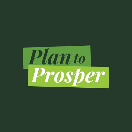 Page de couverture de Plan to Prosper