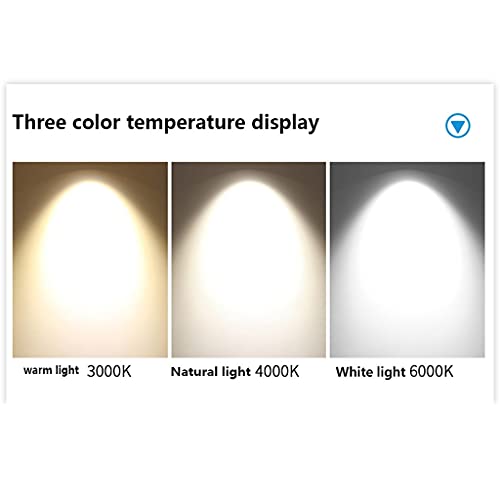 Foco de riel con zoom de 20W para iluminar restaurantes y bares con luz natural 5