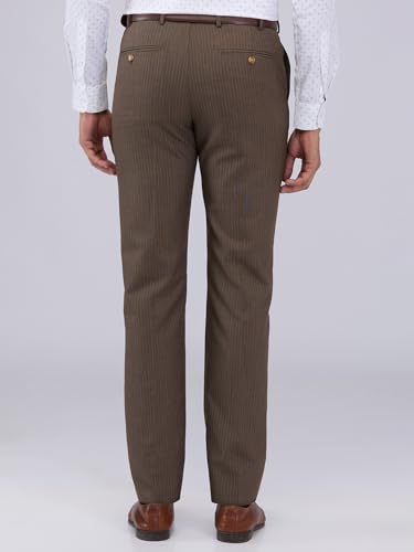 Image of Park Avenue Men Regular Fit Stripe Pattern Poly Viscose Blend Flat Front Formal Trouser