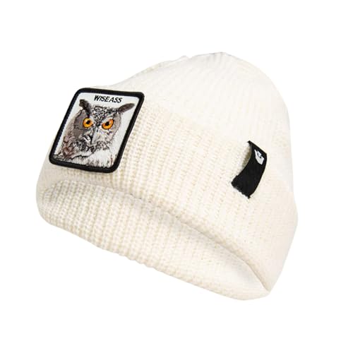 Wise Ass Beanie Goorin Bros couleur dust bonnet taille unique pour hiver