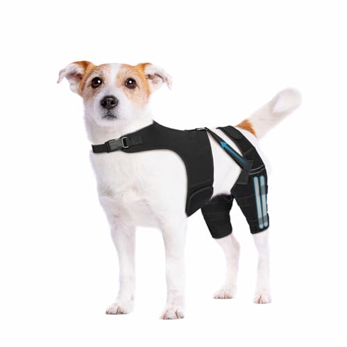 Pawfun Dog Knee Brace for ACL & Ligament Injuries