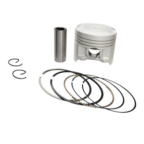 oCNpsXgOLbg V_[wbhx[XKXPbg GW250 GSX-R250 GSX250R DL250p ꕔ(1 pc piston kits)