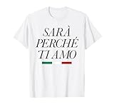 SARÀ PERCHÈ TI AMO X Der Grund weil ich dich Liebe