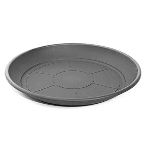 Acan Plato de plástico Gris para macetas de 20-25 cm Mediterránea, Bandeja, platillo Redondo para Tiesto de Interior, Exterior, jardín, terraza o balcón