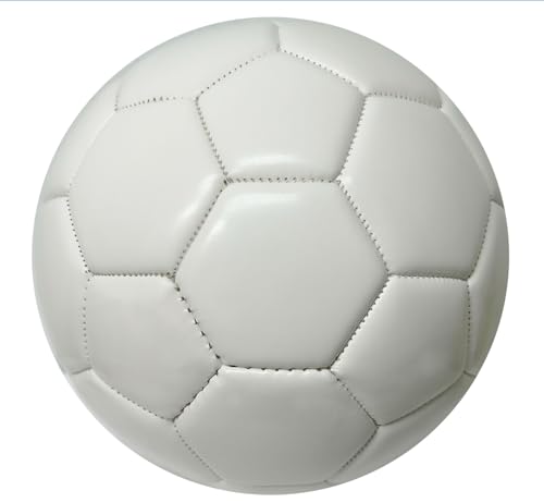 Generic Soccer Trainer Gift Ball (Size 2), White Plain Mini Soccer Ball For Signatures for a Soccer Trainer