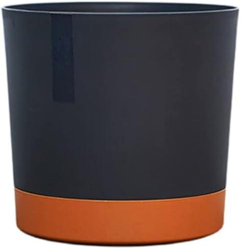 Cutdred k ^ vX`bN t[|bg Aؔ IV Vv  ʋ 傫 R̔rt TCY/FI ƒ؉ K[fjO ϗtA A zCg ze { X Xg (L,_[N