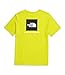 THE NORTH FACE Men's Core Box NSE Short-Sleeve Tee, Sulphur Spring Green, XX-Large
