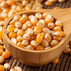 Popcorn Seeds Popping Kernels - Crunchy Popcorn, Popcorn Maize, Corn Kernels, Pop-Corn Makka Makai Pack Of 1 (400 gm)-picture-10