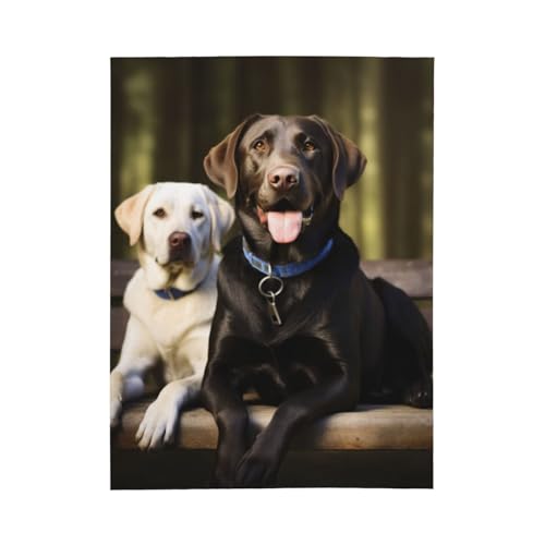 Couverture en flanelle labrador 203x152 cm pour lit et canapé