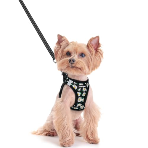 Image of rabbitgoo Dog Harness Small Sized and Leash Set, Step-in Puppy Pet Vest