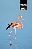 Flamingo Bird Watching Week Planner Weekly Organizer Calendar 2020 / 2021 - In the Water: Cute Wildlife Animal Pet Bullet Journal Notebook Diary in 6" x 9" Inch Pocket Size 1675230269 Book Cover