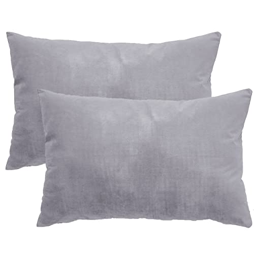 Dalina 2 Fundas de Cojines de Terciopelo de 50x70CM   Fundas para Almohadas y Cojines, 100% Poliéster y Extra Suave, 2 Unidades con Cierre de Cremallera (Gris Claro)