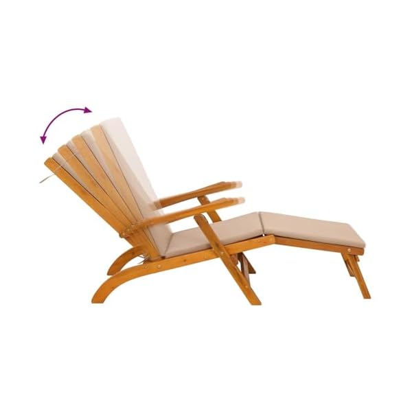 vidaXL Chaise longue et chaise longue pliante, 55 x 146 x 91 cm, chaise longue en bois rustique pour extérieur, relaxante, gain de place sur la terrasse