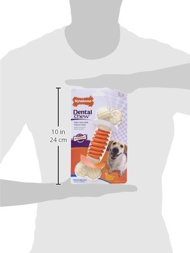 Amazon.com : (3 Pack) Nylabone Pro Action Dental Chew, Bacon