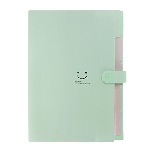 ファイルクリアファイルフォルダーなどなどまとめ売り 31i4tB1S17L.jpg