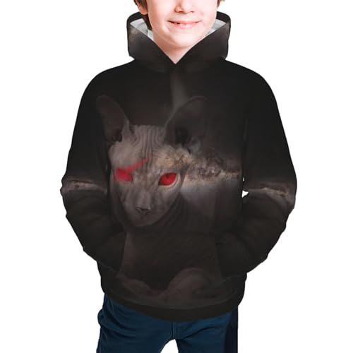 Hairless Cat Boy, Girls Sports Shirt Youth Pullover Fashion Hooded Sweatshirt