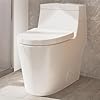 Elongated one piece toilet with soft closing seat 12 rough in modern toilet for bathrooms 128 gpf dual flush map 1000g 284 x 155 x 266 inches standard white toilet bowl  urban country home decor