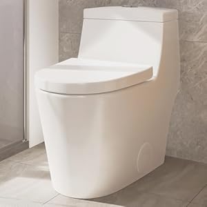 Elongated One Piece Toilet with Soft Closing Seat 12 Rough In Modern Toilet for Bathrooms 128 GPF Dual Flush MAP 1000g 284 x 155 x 266 Inches Standard White Toilet bowl
