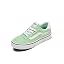 Cacti Green