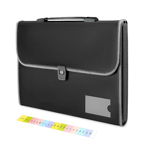 Image of GLUN 13 Pocket Expanding File Folder with Handle & Buckle Closure, A4 Size Document Organizer, Portable Accordion File Case for Office, School & Home (Black)