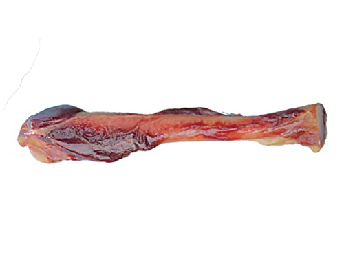 Nobby Italienischer Schinkenknochen für ausgewachsene Hunde, 1 Packung (1 x ca. 220 g) (Packung mit 2)