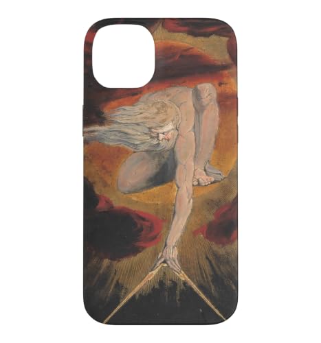�E�B���A���E�u���C�N �Ñ�̓��X�̐_�b �~�X�e�B�b�N �t�@�C���A�[�g �X�}�z�P�[�X iPhone 14 Plus �p