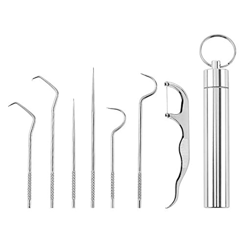 FOUTP 7 Piezas Metal Kit Palillos de Dientes,Palillo Dientes De acero Inoxidable, Reutilizable Palillo de Dientes, Palillo de Dientes para Picnic Al Aire Libre y Camping