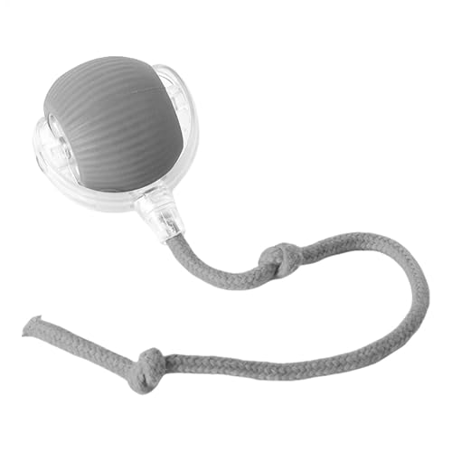 L   L{[ L  {[ dC USB [dt 360 x][O {[ C^NeBuȔLp{[ Lptd LVѓ XgX ^sAL 