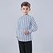 Boys' Shirts Casual Long Sleeve Vacation Shirts with Pocket Striped Printed Cute Kids Button Down Shirts 2026 Spring
