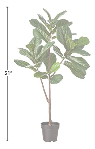Amazon Brand - Stone & Beam Artificial Fiddle Leaf Fig Tree With Plastic Nursery Pot, 4.3 Feet (51 Inches) / Medium, Indoor #TOP2