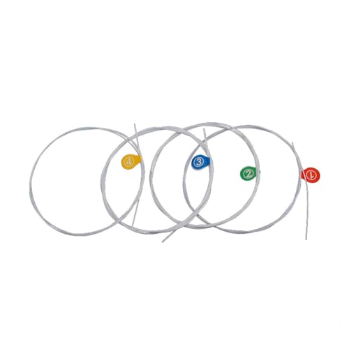 LIXSAZSE 4pbNENyǂ-S҂̎q̂߂̋iUM^[