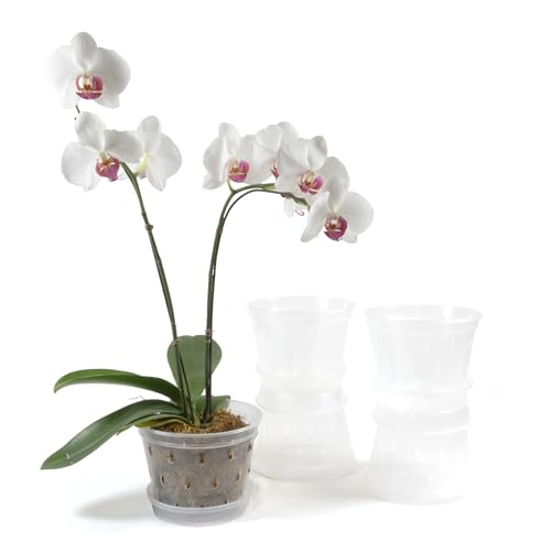 Greenology 15cm / 6" Pack of 5 Orchid Flower Pots with Saucers and Side Drainage in Durable Soft Clear Plastic