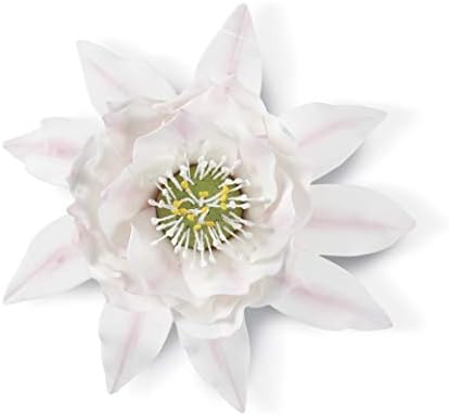 Wilton Succulents Gum Paste Cut Out, Stainless Steel